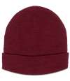 RX290 Pro RTX Pro Beanie Burgundy colour image